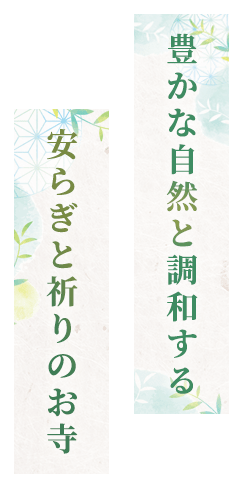 豊かな自然と調和する安らぎと祈りのお寺